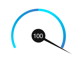 Net Promoter Score 100